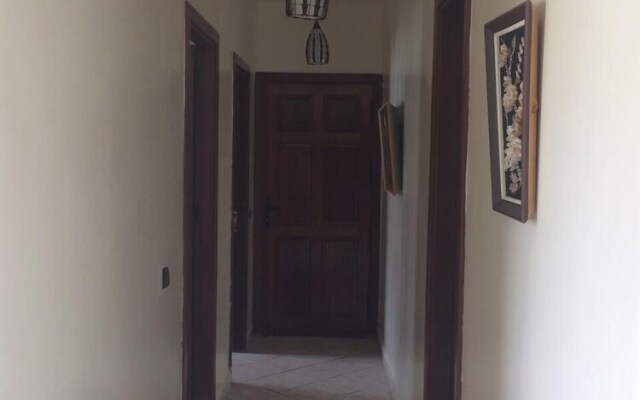Cabo Dream