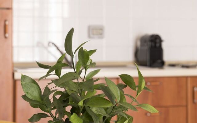 Sleek 1BR in San Pietro / Vaticano by Sonder