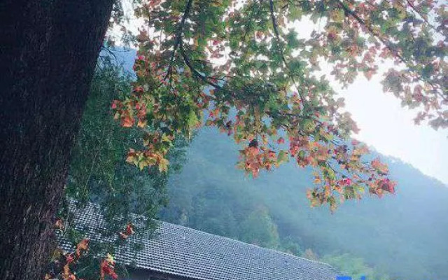 Yannanqi Inn in Yongjia