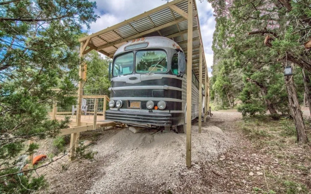 The Dog Haus Cl 195Dh