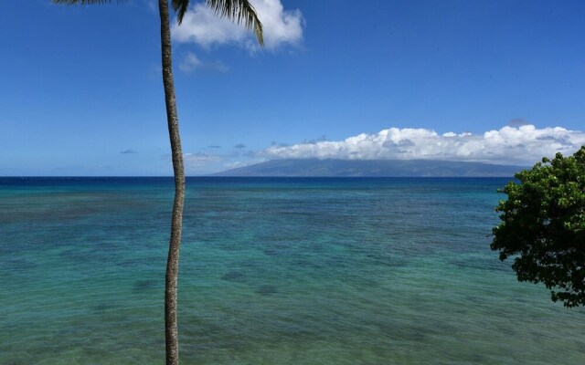 Kahana Reef 414 by RedAwning