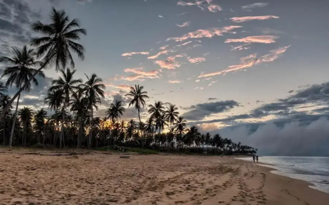 MiHaven Shared Living - Pembroke St