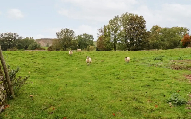 Hall Garth Cottage