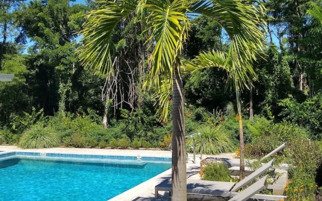 Palm Beach Inn