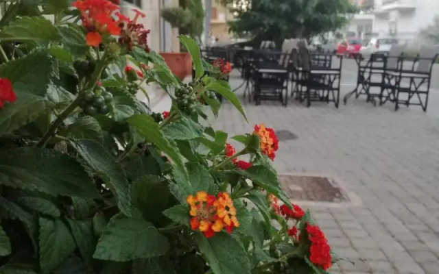 Leonidaion Guest House