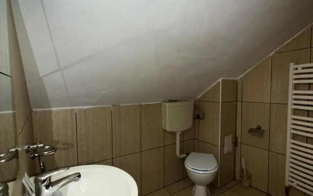TreeZ Hostel