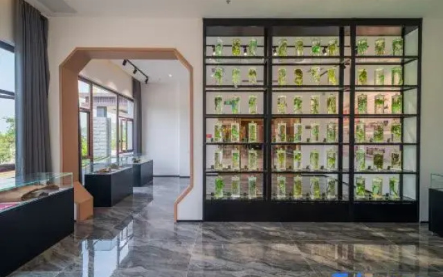 Yaowanggu Kangyang Hotel