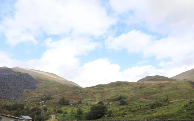 Llwyn Bedw
