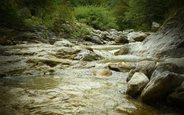 Ca-Jo Bed and Breakfast