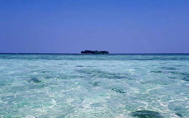 L'isola che...