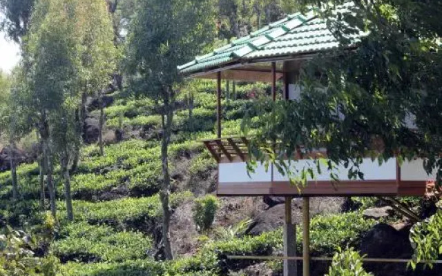 Vythirihills Nature Resort