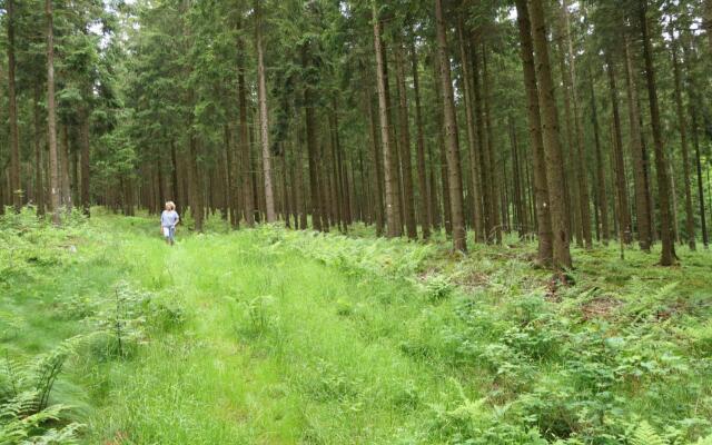 Vakantiehuis De Lounge