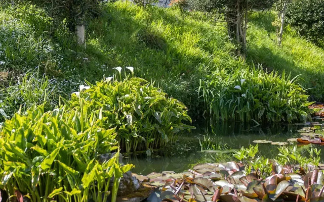 Ty Hapus - Close to Beach and Town