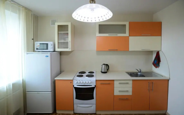 Good Night Елизаровых 56