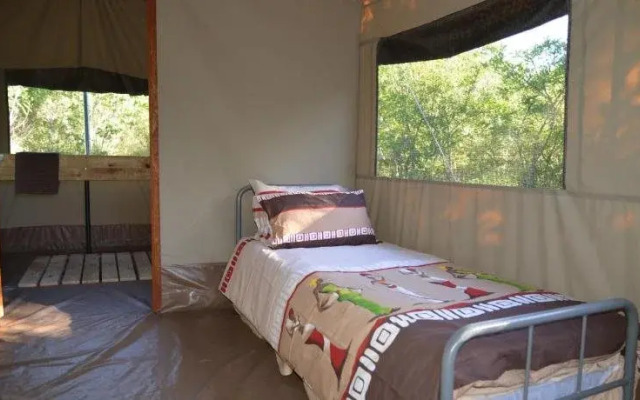 Wild Olive Tree Camp