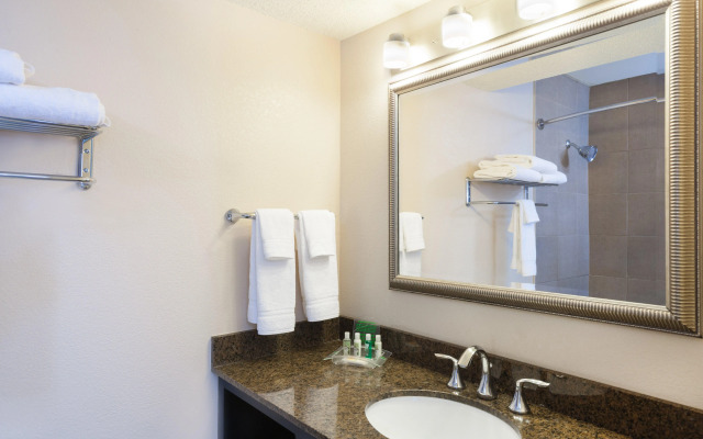 Holiday Inn Metairie New Orleans by IHG