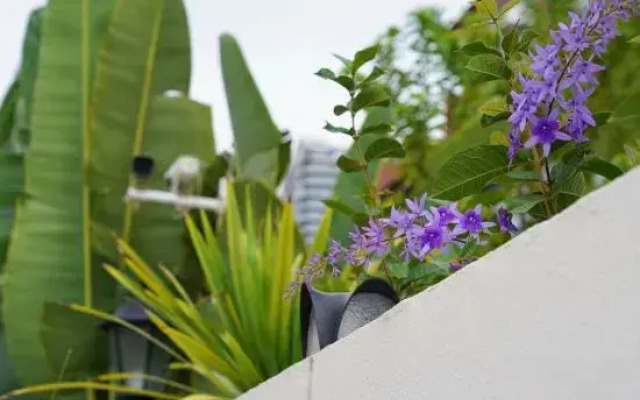 Sato-Hill Homestay