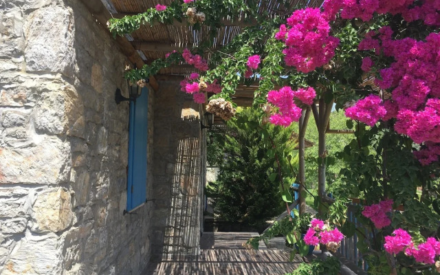Koy Evi Apart