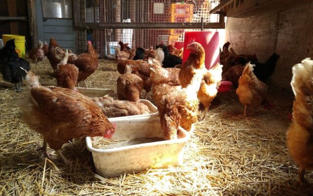 Chez Jacques et Chantale B&B