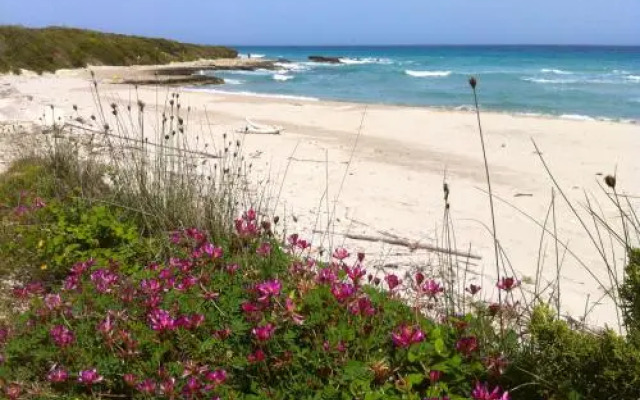 Agriturismo Fontanelle