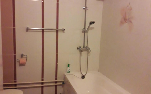 Apartment on Prospekt Momyshuly 25