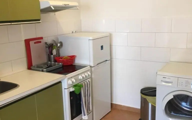 Sausage dog's apartments