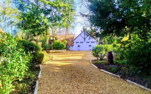 Thatched Eaves