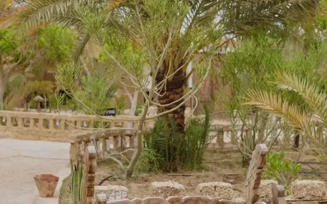 Siwa Shali Resort