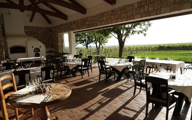 CRAMA APOGEUM - Adult only