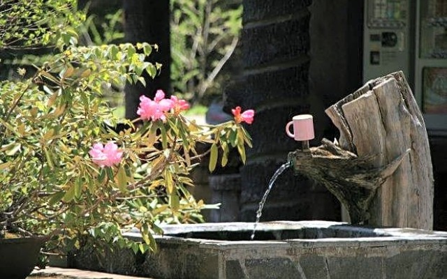 Hatcho no Yu Hot Spring Ryokan