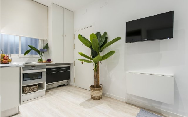 Apartamento Malasaña IV