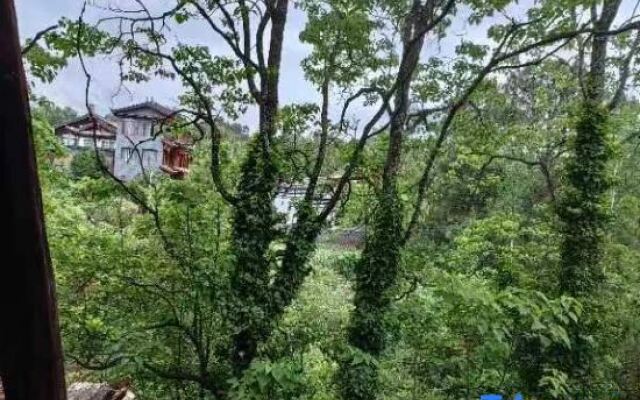 Lijiang junayuanzhu Homestay