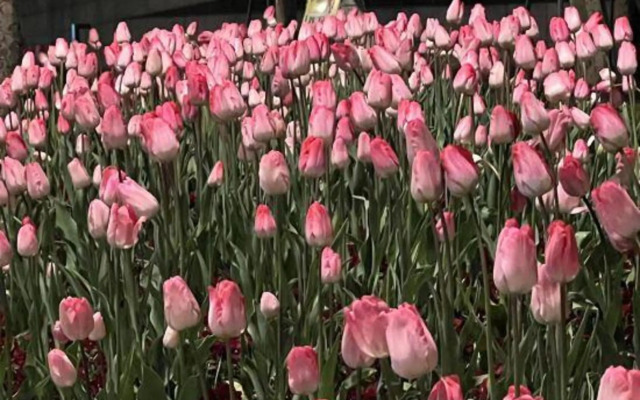 Shanghai Pujue Hotel