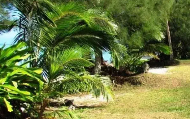 Muri Shores