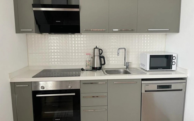 Business-friendly Flat With Central Location in Fikirtepe