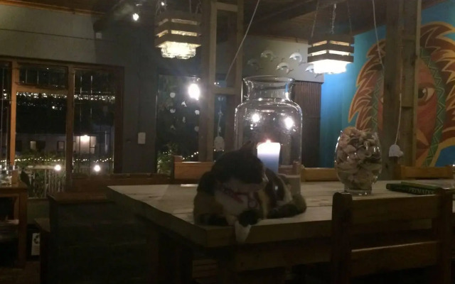 Albergo for Backpackers