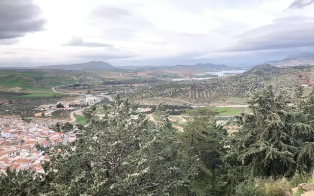 Apartamento Amapola