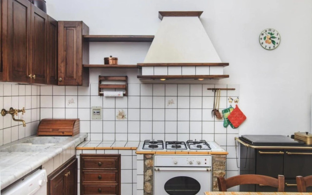 Ulivo in Maltraverso