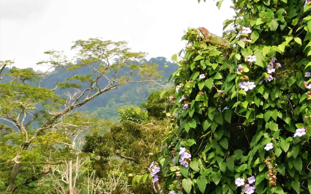 Crucero Lodge