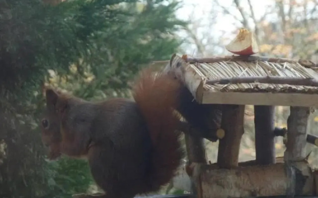 1 bedroom apartment in prime location