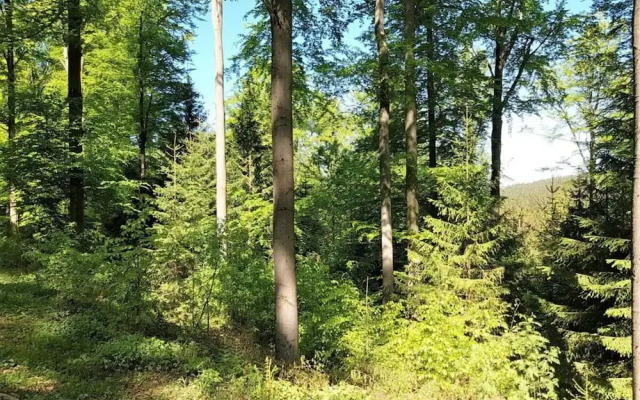 Gutsweg One - Apartment 3