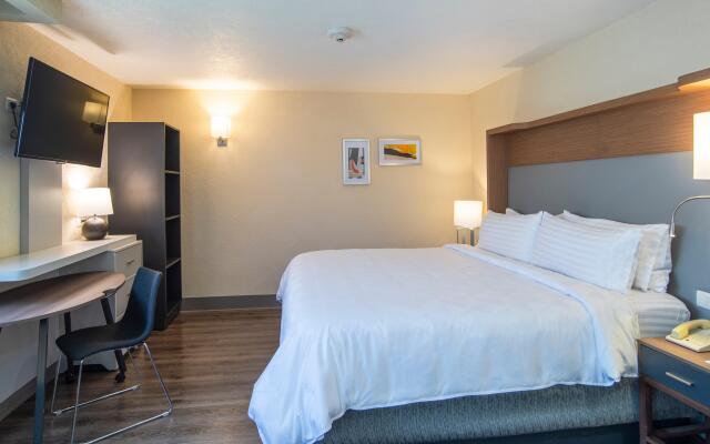 Holiday Inn Mexico Coyoacan