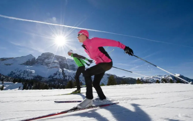 Appartements Schäfer