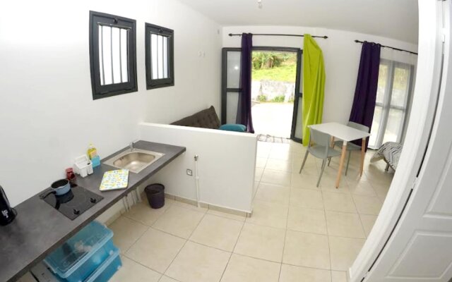 House With one Bedroom in Saint Joseph, With Wonderful Mountain View, Enclosed Garden and Wifi - 10 km From the Beach