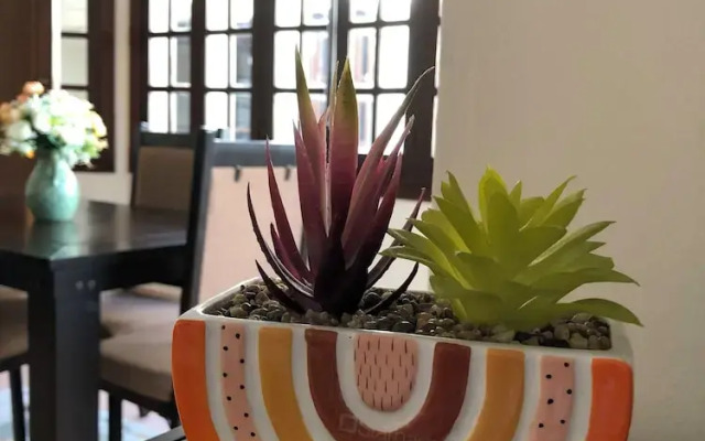 Hotel Boutique Villas Segovia Cozumel