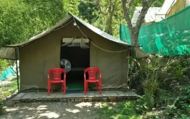 Mogli Camps