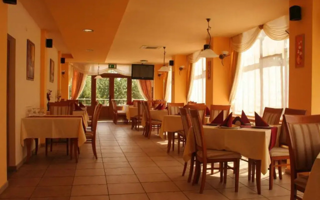 Pension Andronic