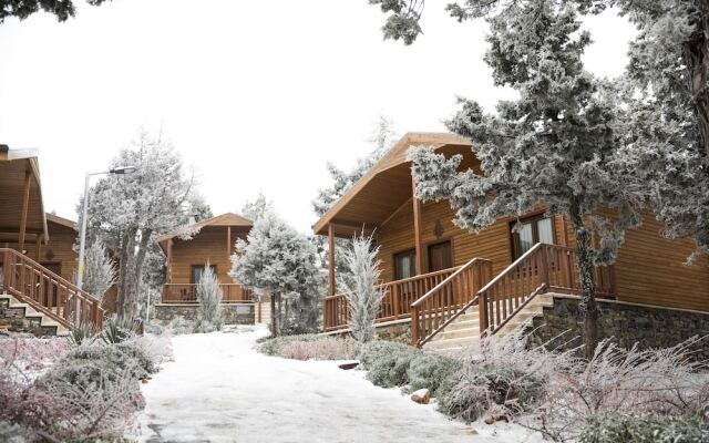 Bağbaşı Yaylası Bungalov Evleri