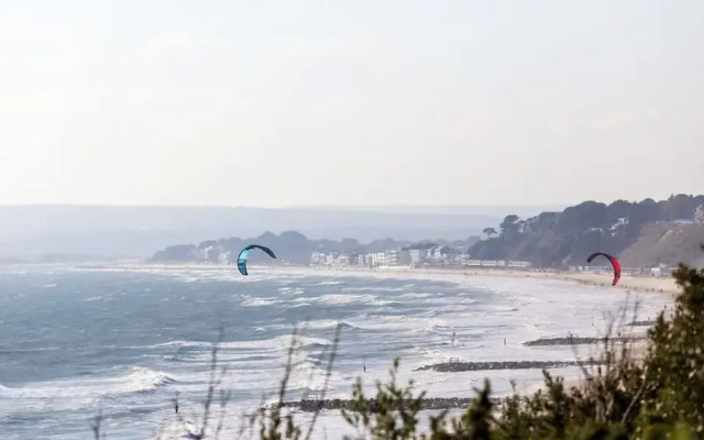 Daintree - Bournemouth