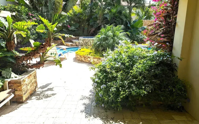 Adorable 1-bedroom-apartment 2 km From Eagle Beach